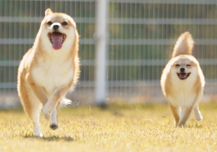 ルームエアコン取り付けを独学で挫折したあなたへ！失敗の原因とプロの技術を「体得」する最短ルート